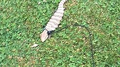 corgi necklace target