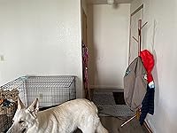 Review Image by Olivia K Olivia K