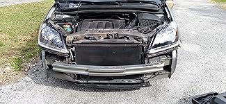 Review Image by Andrew Stamile Andrew Stamile