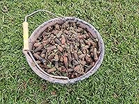 Review Image by Matthew Matthew