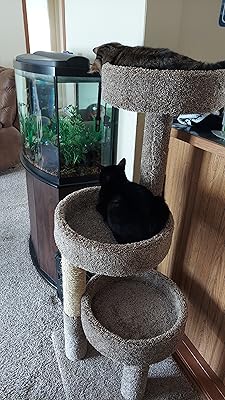 sonotube cat tree