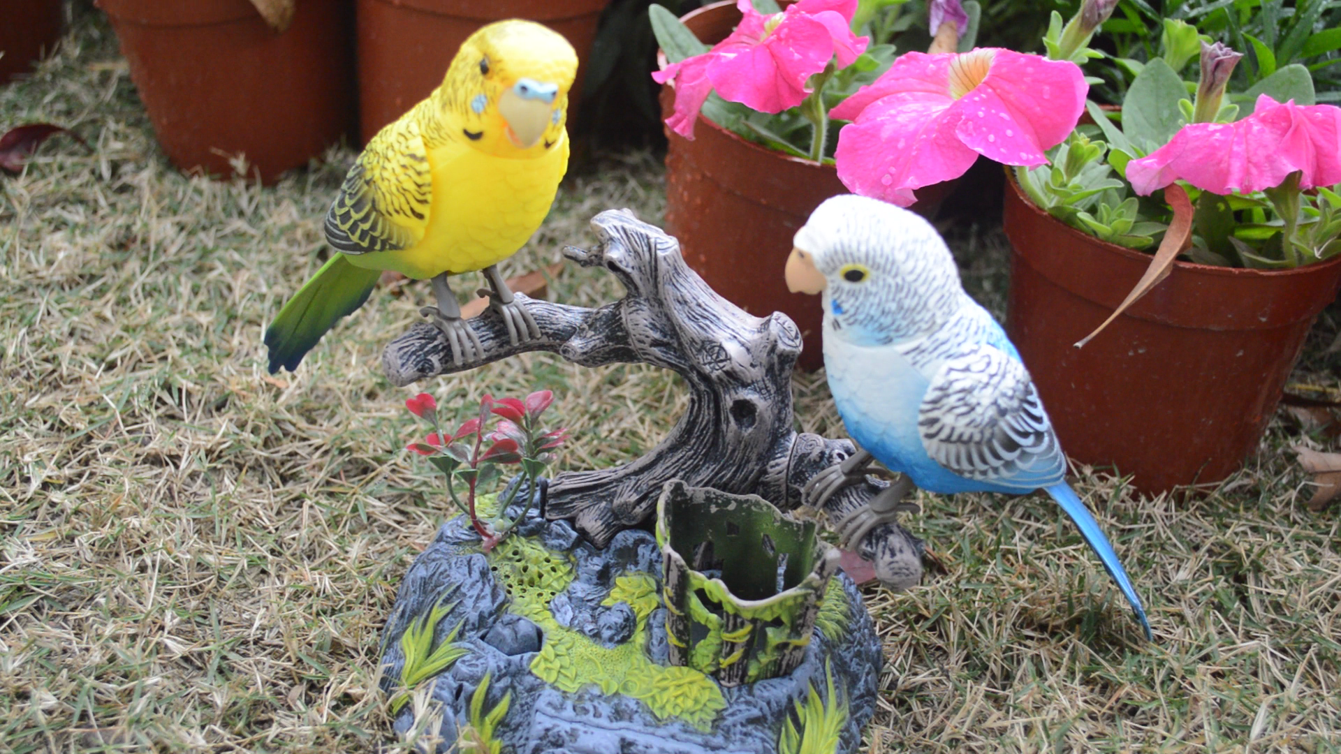 thumbnail image 2 of Talking Parrot Toy - Electric Chirping Bird With Moving Head & Tail For Kids Decor 2 of 12