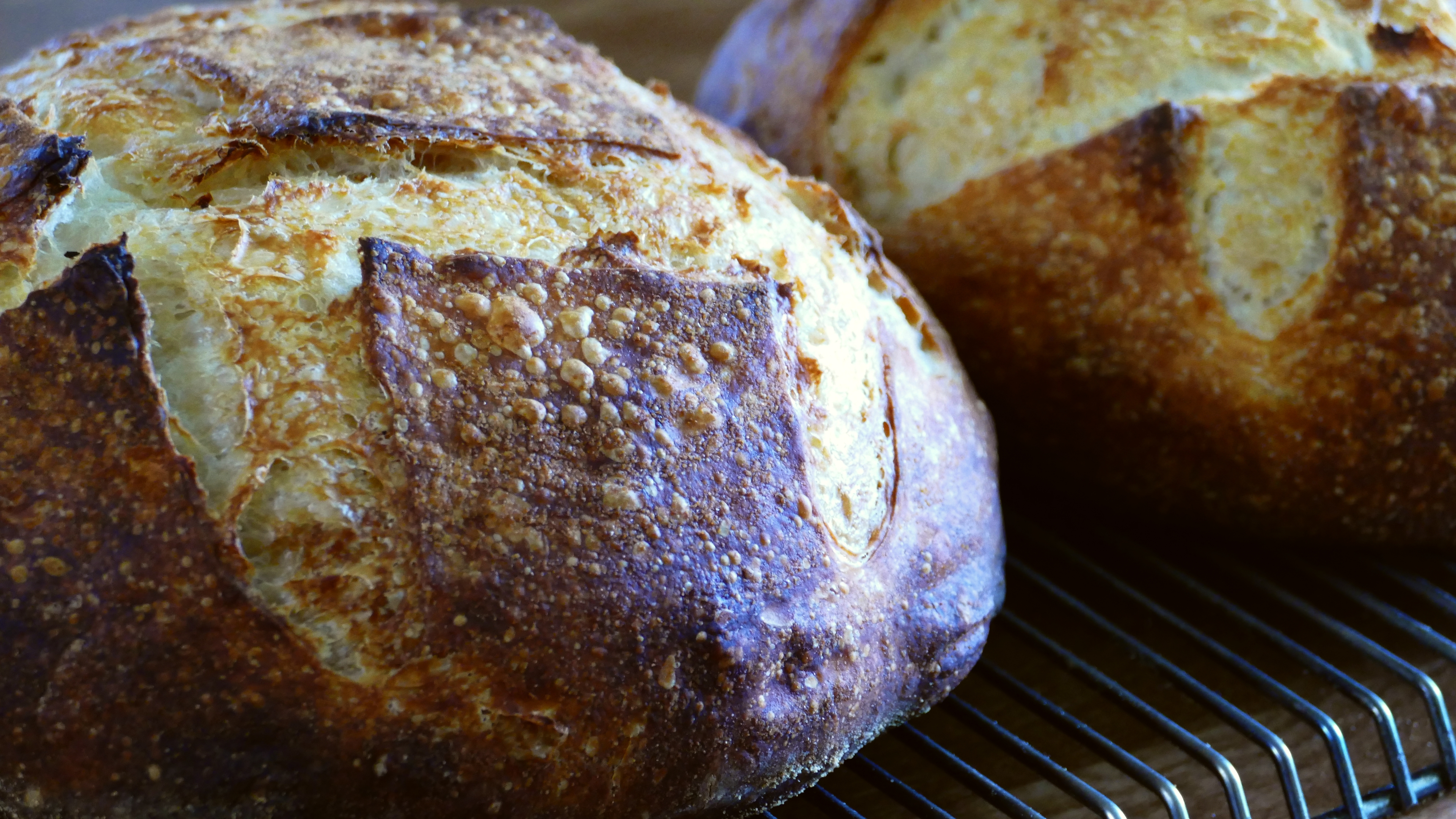 Bake Real San Francisco Style Sourdough Bread [Online Code]