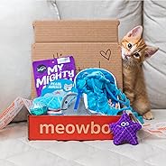meowbox - the subscription box for cats
