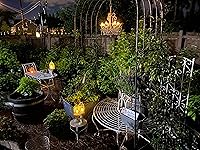 Review Image by D. G.