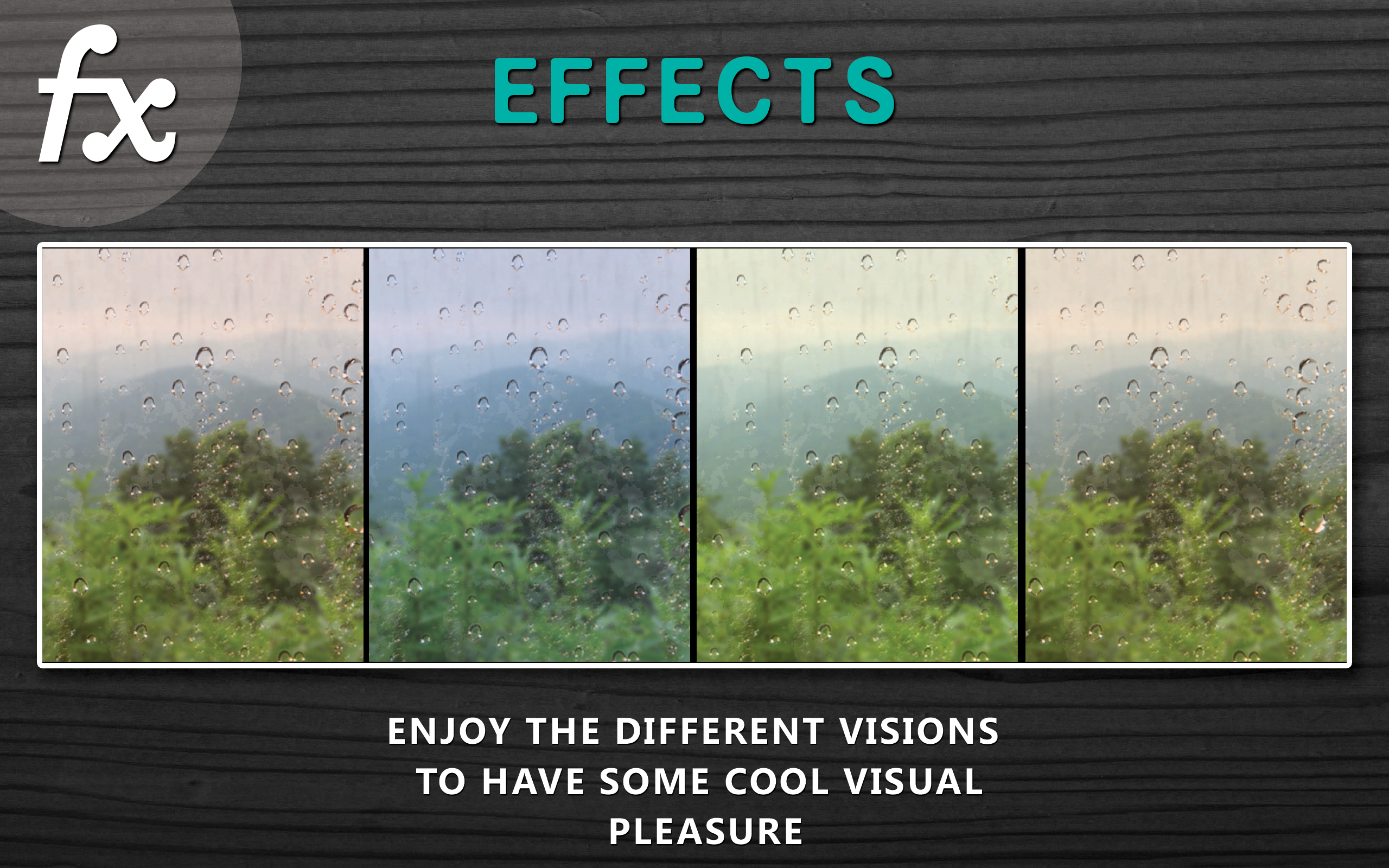 Green Rainfall HD - Sit and Enjoy Rainy Forest on your Fire TV & Kindle Devices