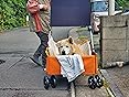 カスタマー画像
