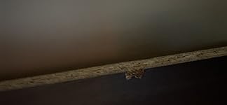 Review Image by K. Evans