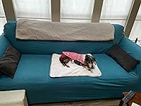 Review Image by Amazon Customer