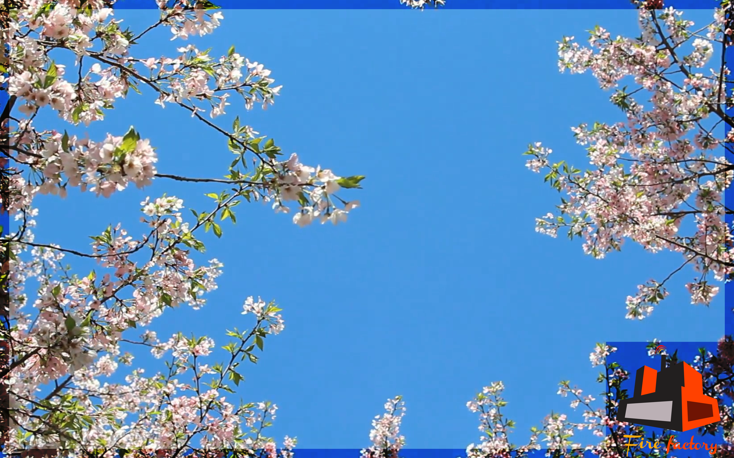 Fresh Flowers Scenery - Virtual View For TV - Thumbnail 6