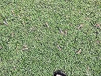 Review Image by Matthew Matthew