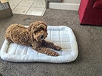 Review Image by S. Nazz S. Nazz