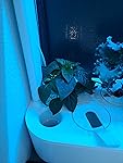 Review Image by K67T56 K67T56