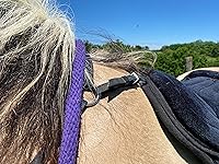 Review Image by angela impellizzeri angela impellizzeri