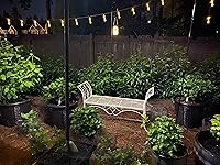 Review Image by D. G.