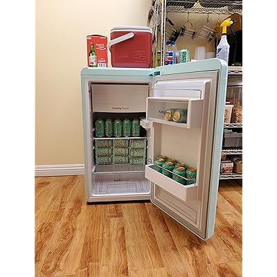 Buy Winia Wfr044rcnm Retro Compact Refrigerator 4 4 Cu Ft Mint Online In Georgia B084kskjbc