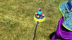 whirly whale sprinkler