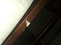 Review Image by Diane Diane