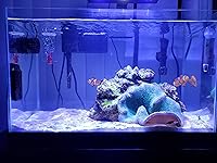 Review Image by Nate92483 Nate92483