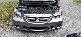 Review Image by Andrew Stamile Andrew Stamile