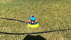 whirly whale sprinkler