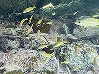 Review Image by Corey Schnagl