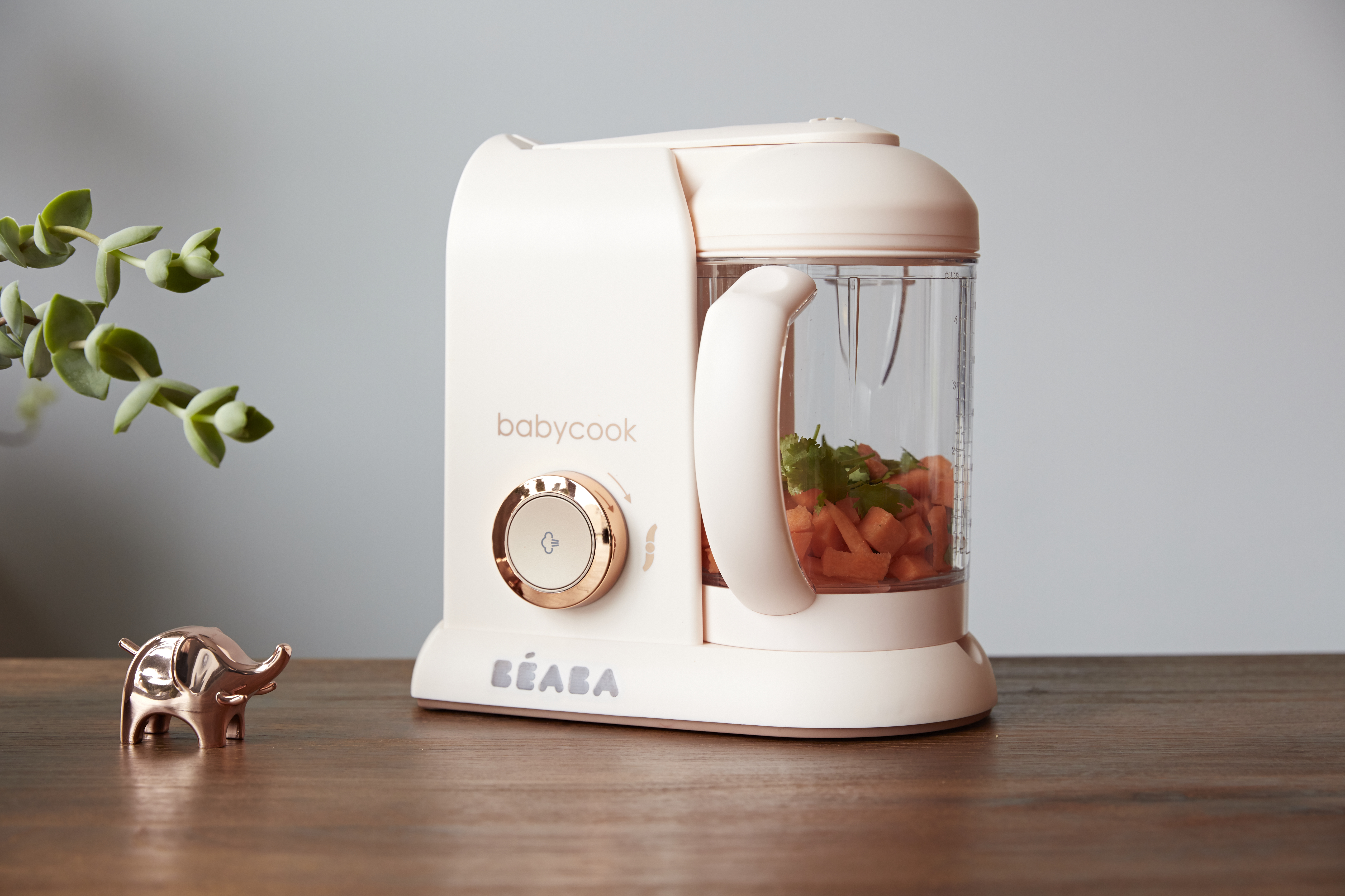 4 BEABA+Babycook+Cooker+Blender+Dishwasher
