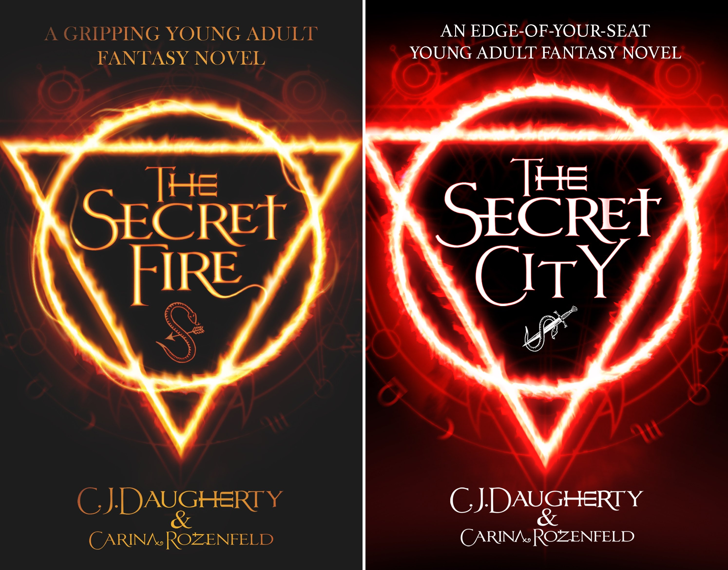 The Alchemist Chronicles teen Series (2 Book Series)