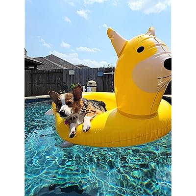 Corgi Floatie corgi Pool Float Flotador 