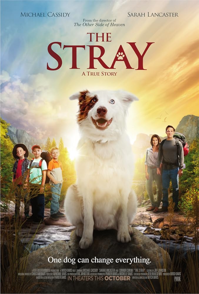 The.Stray.2017.DVDRip.mkv  