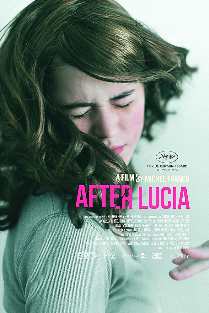 露西亚之后 Después de Lucía (2012)