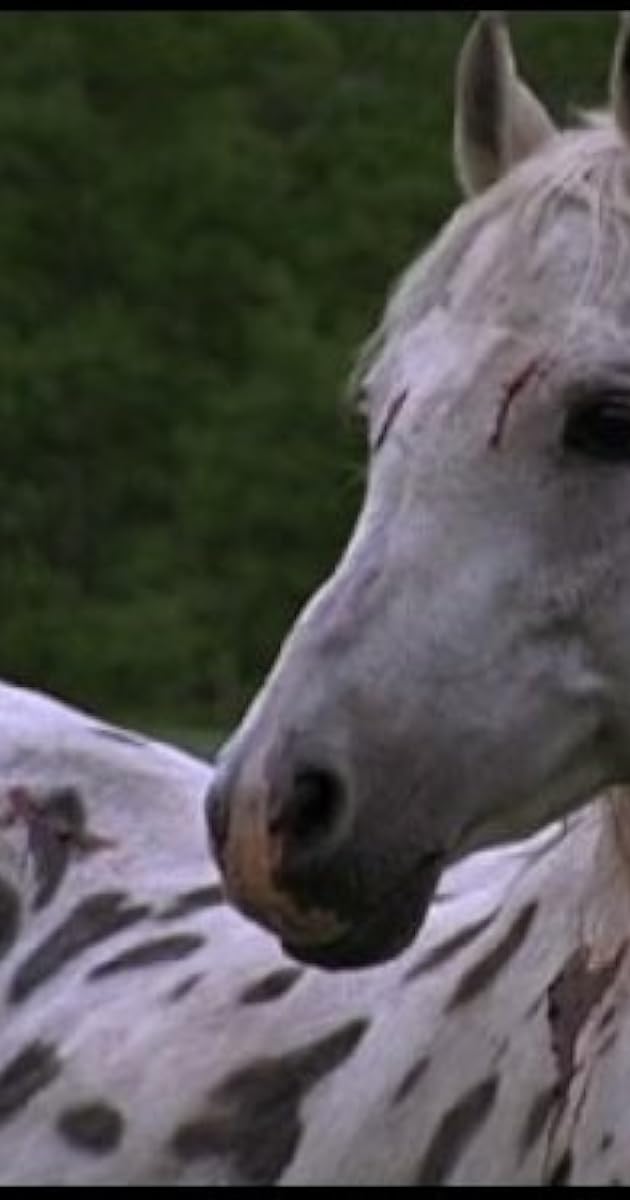 "Heartland" Ghost Horse (TV Episode 2008) IMDb