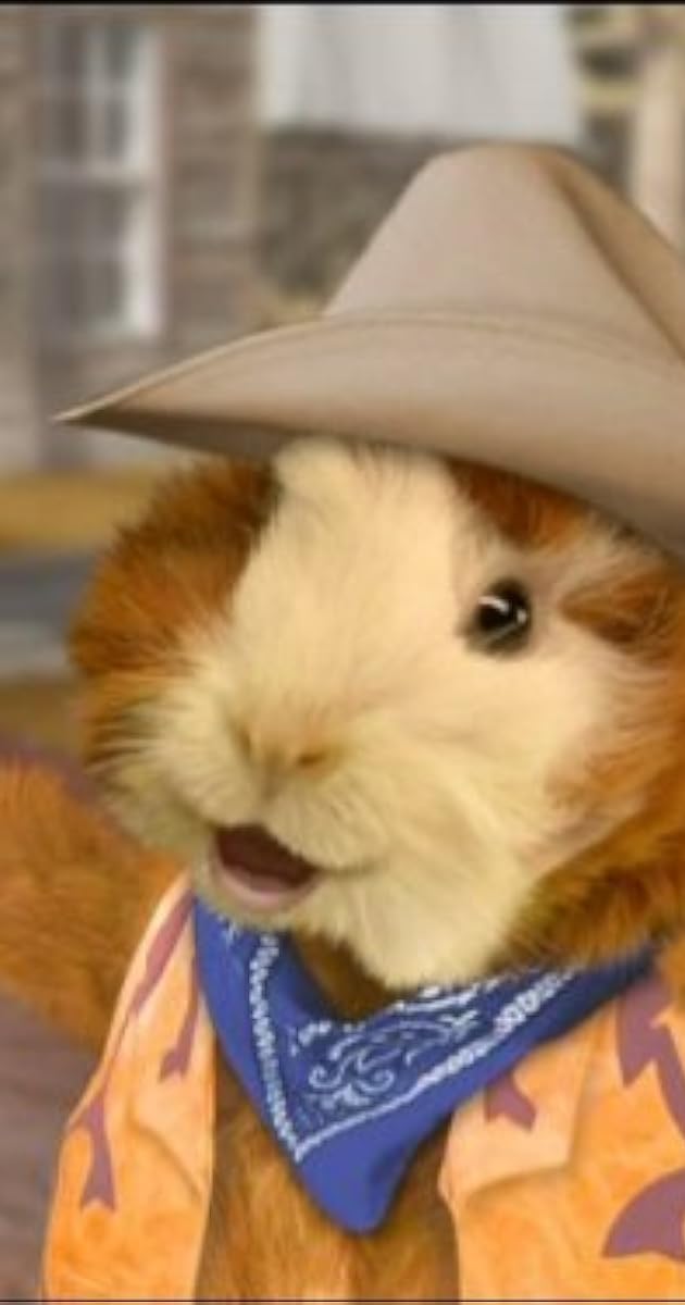 "Wonder Pets!" Save the Armadillo/Save the Itsy Bitsy Spider (TV