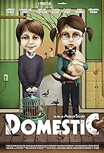 Domestic