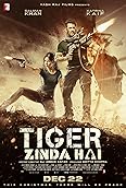 Tiger Zinda Hai (2017)