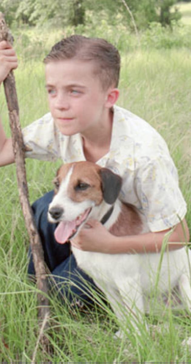 Pictures & Photos from My Dog Skip (2000) IMDb
