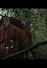 Outlaw King