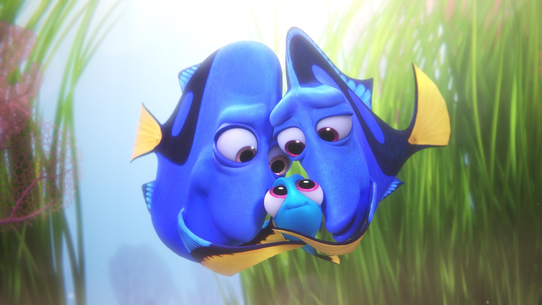 Say hello to our Dory – Cao Minh Thy