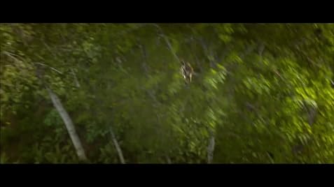 Epic (2013) - IMDb