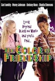 The Color of Friendship Poster