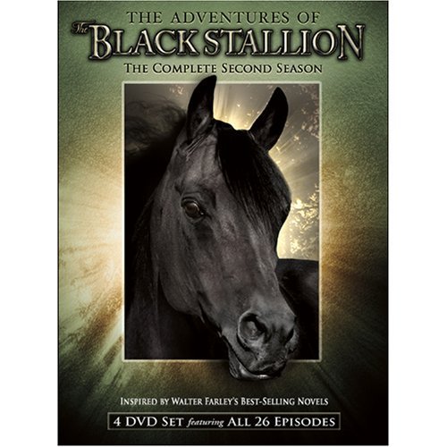 The New Adventures of the Black Stallion (TV Series 19901993) IMDbPro