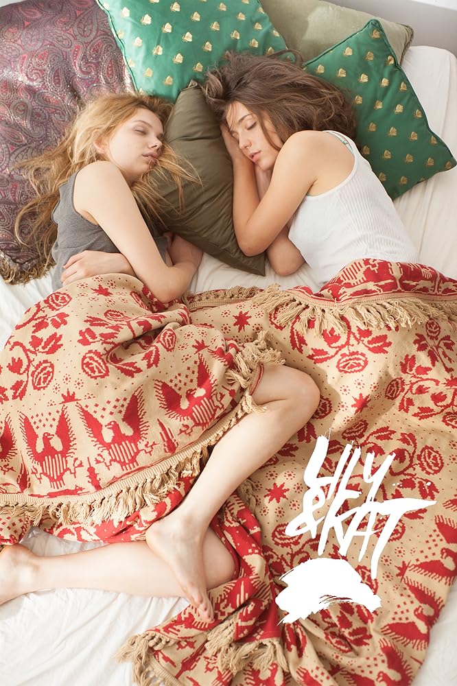 莉莉与凯特 Lily & Kat (2015)