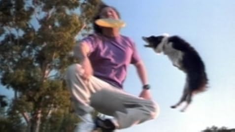 The Animal (2001) - IMDb