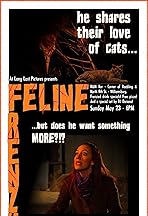 Feline Frenzy