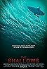 The Shallows