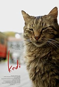 Kedi (2016)