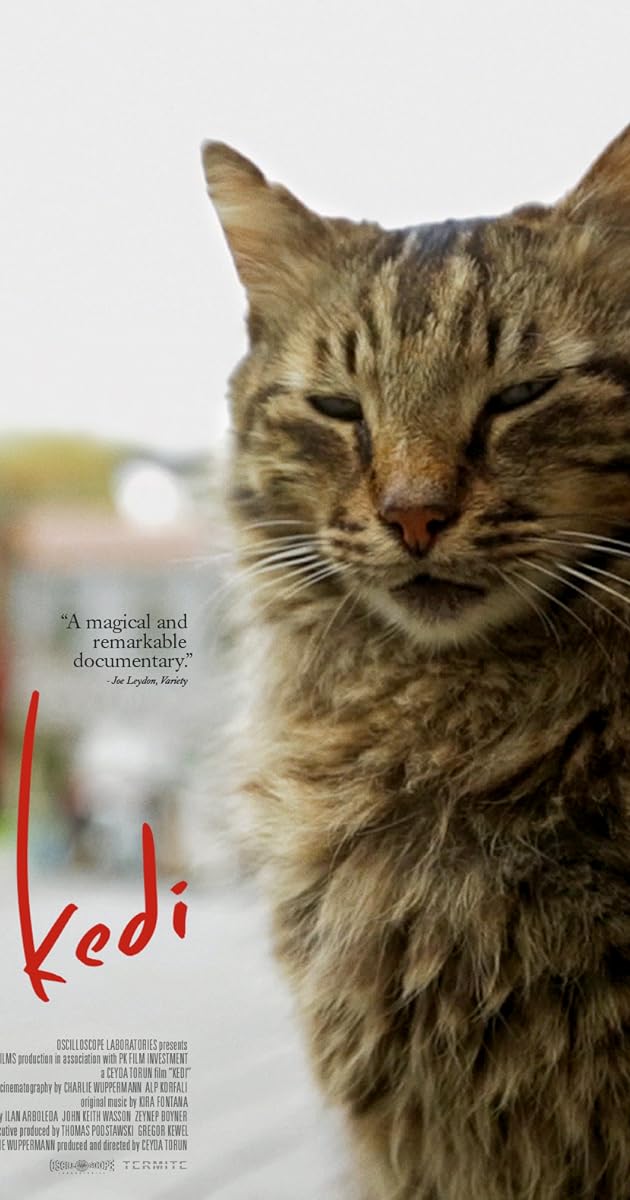 Kedi (2016) - IMDb