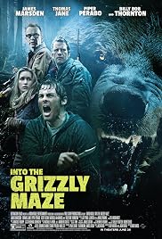 Into the Grizzly Maze Poster
