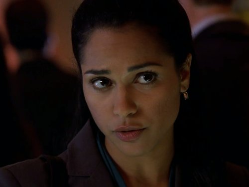 Monica Raymund Lie To Me