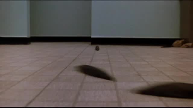 Watch Night Of The Creeps Full Movie Watch Night Of The Creeps Full Movie